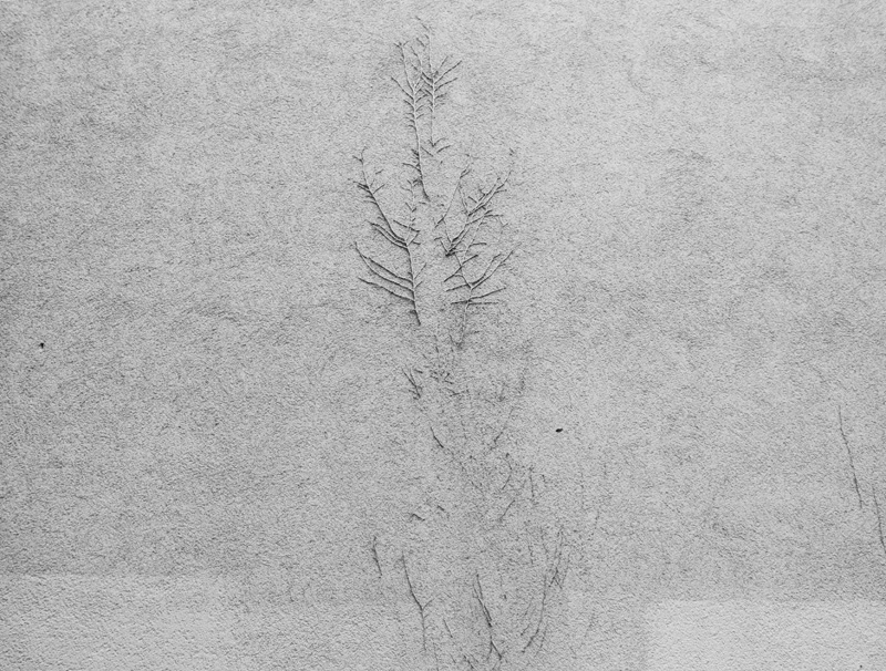 Traces on the wall